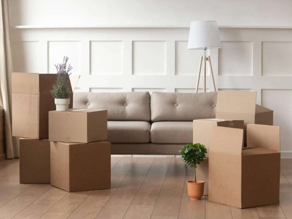 Wohnzimmer mit Umzugskartons und Pflanzen